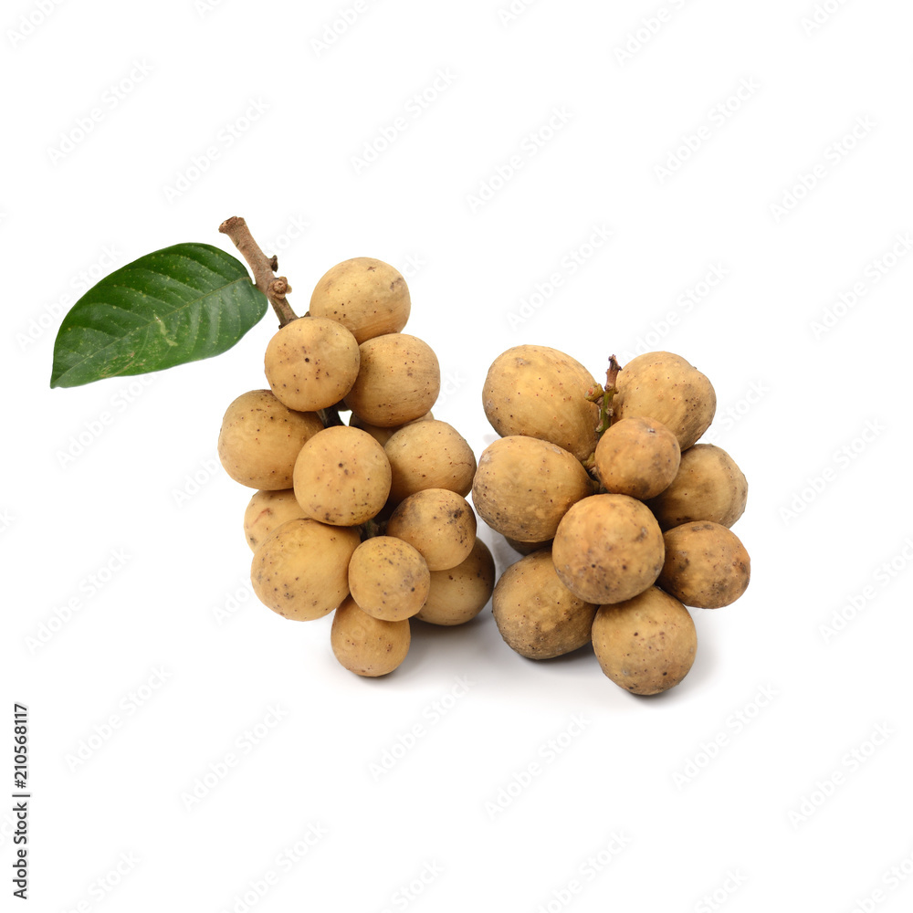 Tropical fruit Longkong on white background Tropical fruit Longkong on white background