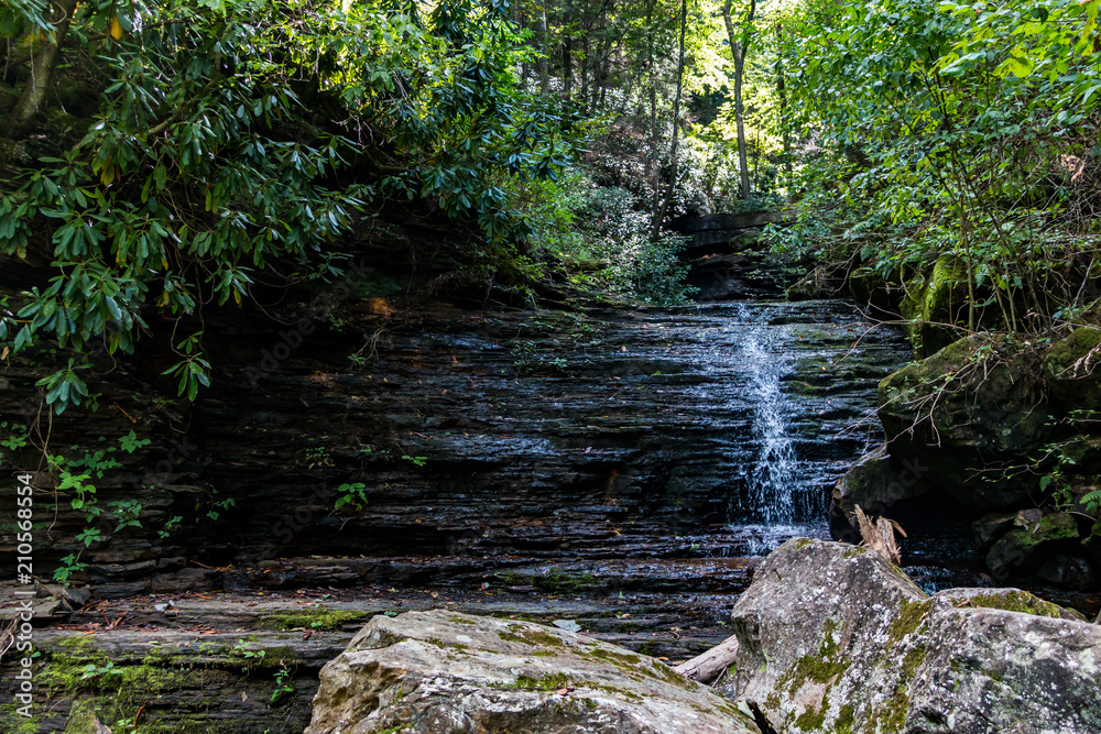 A little waterfall trickiling down the rocks of a forest mountainside. A little waterfall trickiling down the rocks of a forest mountainside.