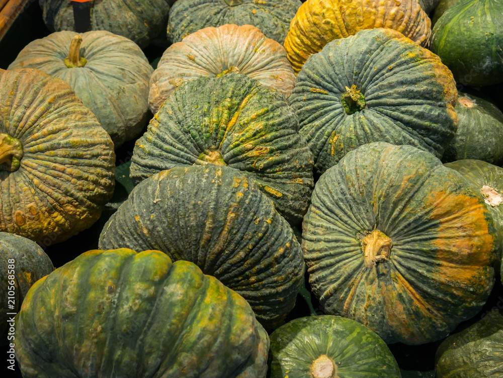 Fresh green pumpkin arranged in fresh food market