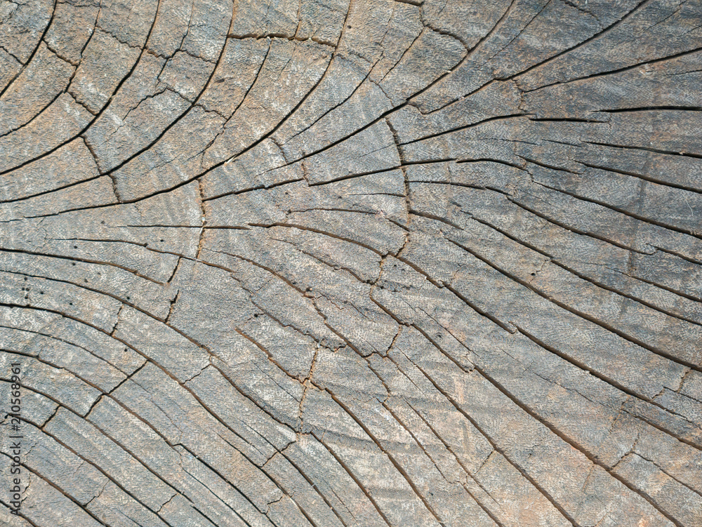 Fototapeta premium Closeup nature surface texture style of wooden, brick, wall , stone sheet 