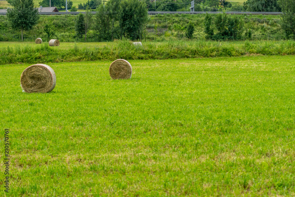 countryside landscape with bales of hay countryside landscape with bales of hay