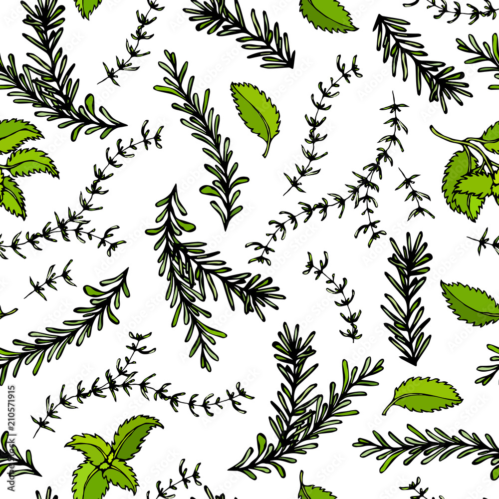 Seamless Endless Pattern of Rosemary Branch, Basil and Sage. Background with Aromatic Healing Herb. Steak Meat Spice. Hand Drawn Illustration. Savoyar Doodle Style. Seamless Endless Pattern of Rosemary Branch, Basil and Sage. Background with Aromatic Healing Herb. Steak Meat Spice. Hand Drawn Illustration. Savoyar Doodle Style.