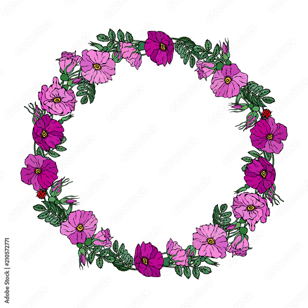 Round Frame with Wild Roses. Summer Flowers Greeting Card or Wedding Background. Hand Drawn Illustration. Doodle Style.