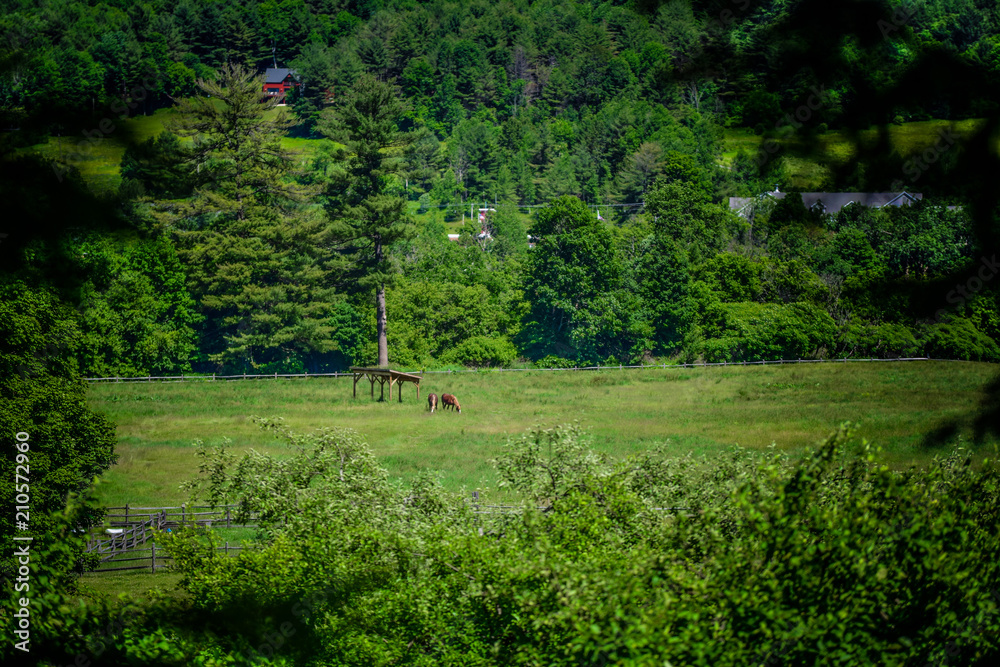 Picturesque Vermont's views