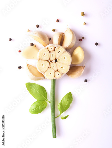 Beautiful flower make with garlick and basil isolated