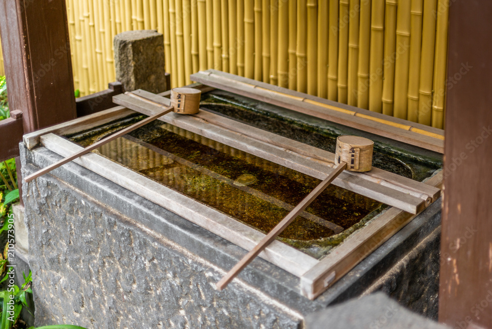 Stillness at the water basin at the entrance of a shrine in Japan for the riual Temizuya purification - 5