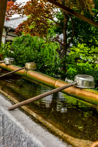 Stillness at the water basin at the entrance of a shrine in Japan for the riual Temizuya purification - 13