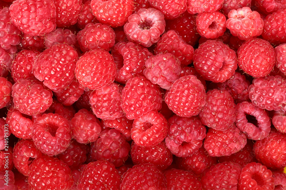 Juicy and fresh ripe raspberries close-up. Natural background Juicy and fresh ripe raspberries close-up. Natural background
