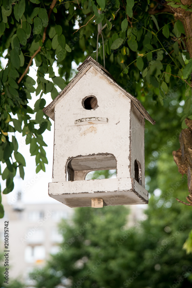 bird house in a tree bird house in a tree