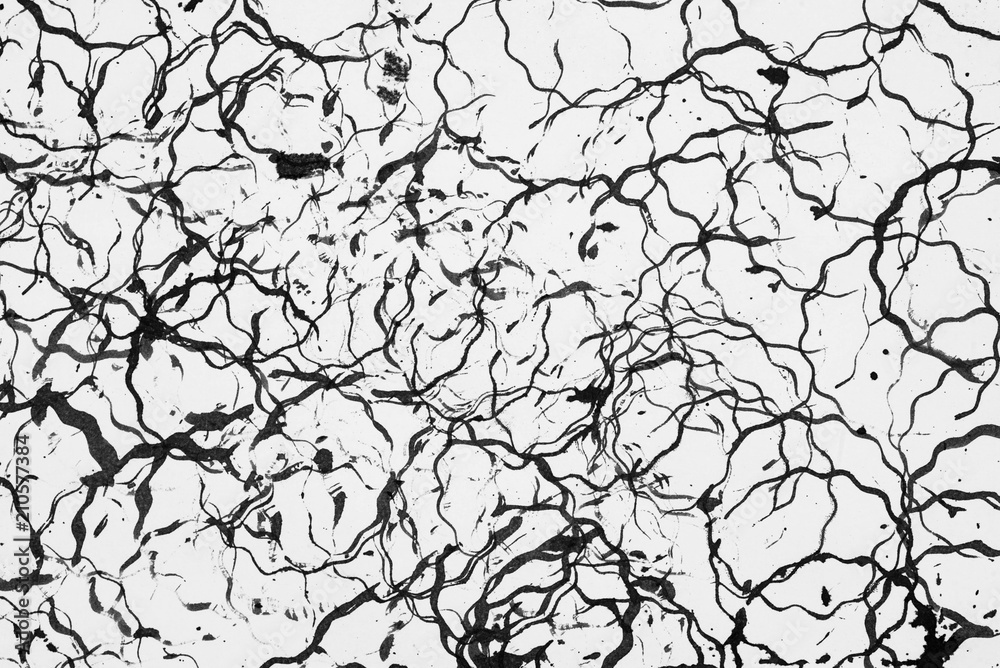 Obraz premium distressed black pattern on white paper background texture