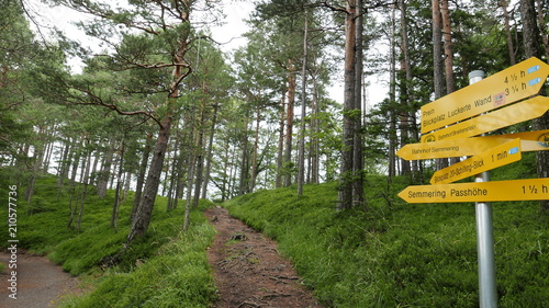 way to the The 20 schilling view on Semmering railway