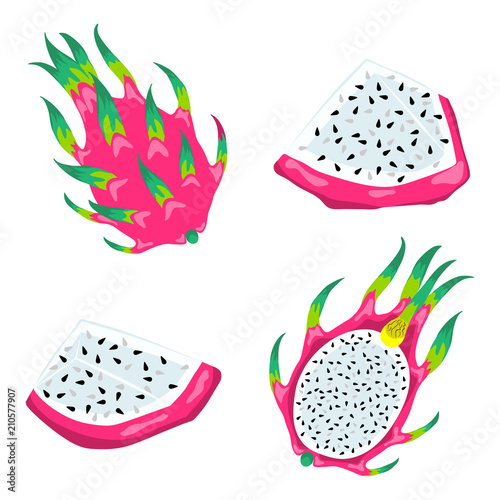 Set of dragon fruits isolated on white background. Vector Illustration of the exotic tropical food.
