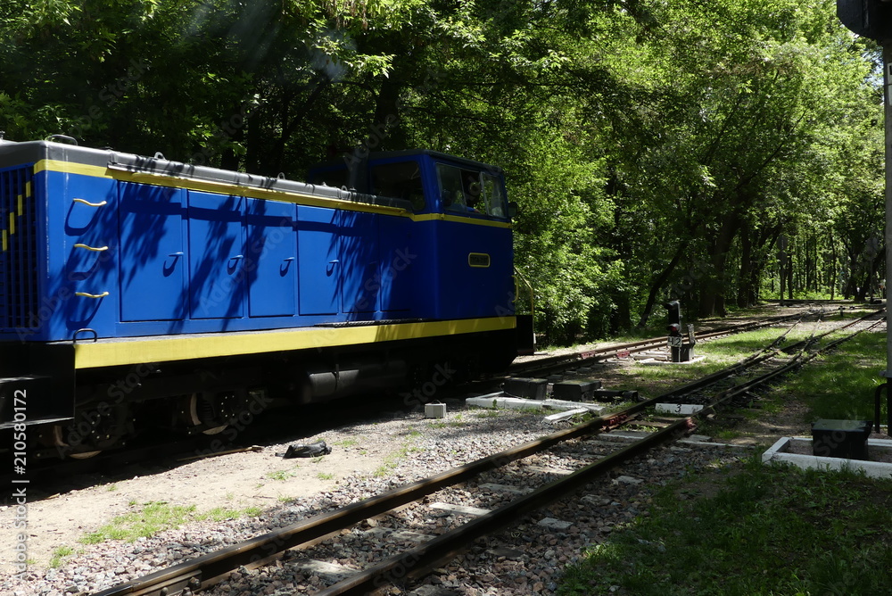 Naklejka premium The locomotive is traveling along the railway tracks in the middle of the forest.