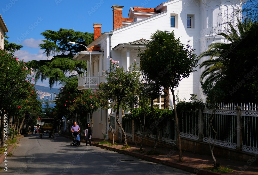 Obraz premium A street view from Buyukada