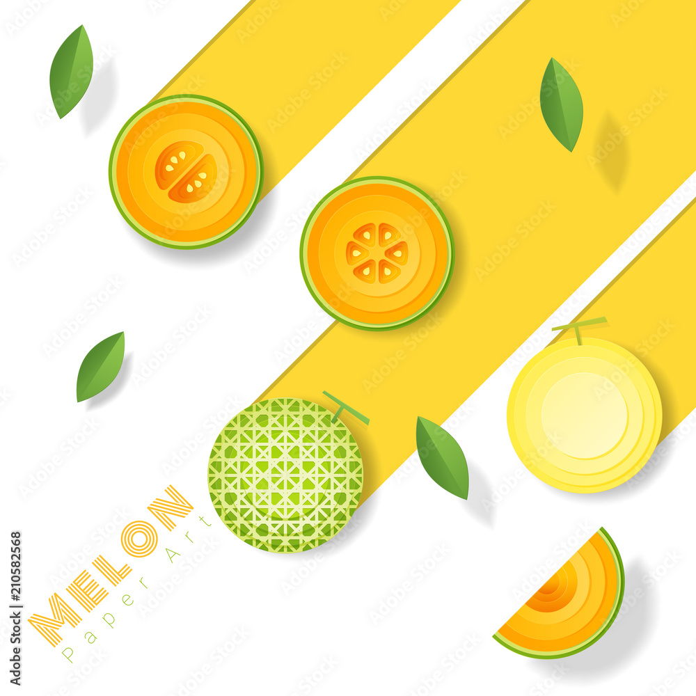 Fototapeta Fresh melon fruit background in paper art style , vector , illustration
