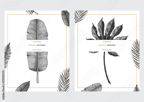 Vector contemporary greeting card set with tropical graphics in vintage style. Hand drawn collection of exotic plant template for birthday, business, anniversary, wedding, party invitation, holidays.