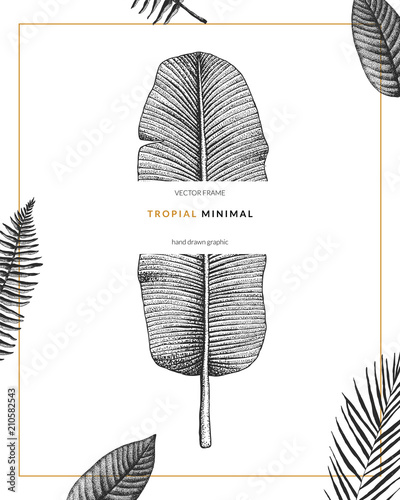 Vector contemporary greeting card with tropical graphics in vintage style. Hand drawn exotic plant template for birthday, business, anniversary, wedding, party invitation, holidays.
