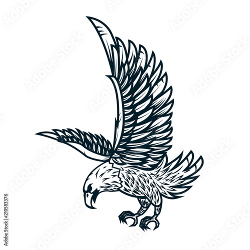 Eagle illustration on white background. Design element or poster, card, print, emblem, sign.