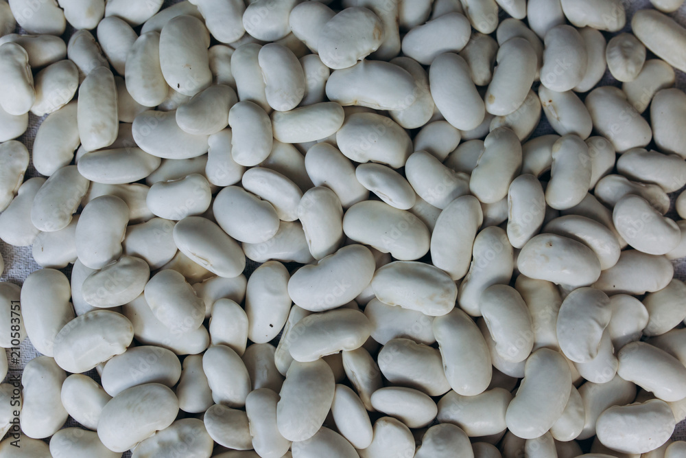 White kidney beans background texture. Vegan and vegetarian photo. Ecological green food.