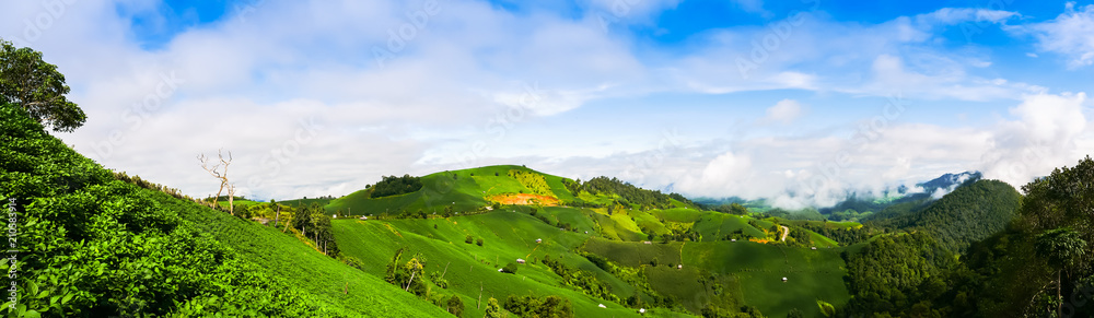 A landscape view of nature of green mountain at sunrise morning time with clear blue sky