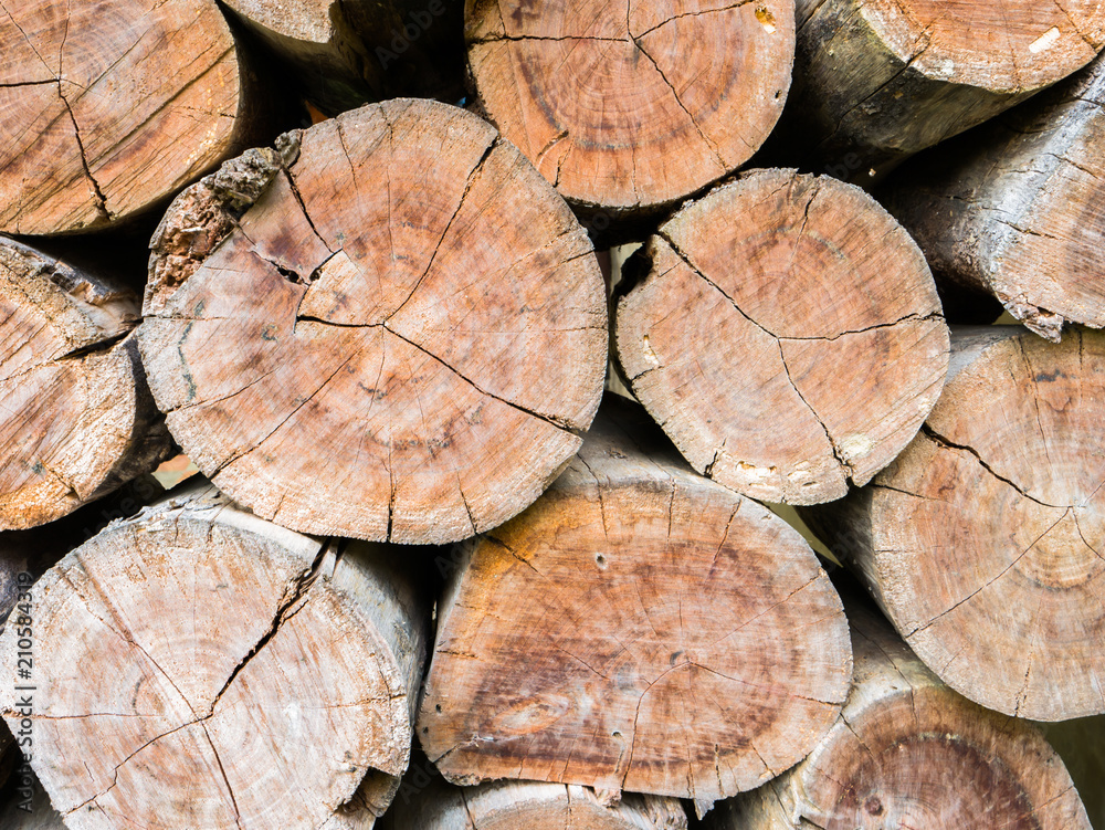 Naklejka premium Closeup nature surface texture style of wooden, brick, wall , stone sheet