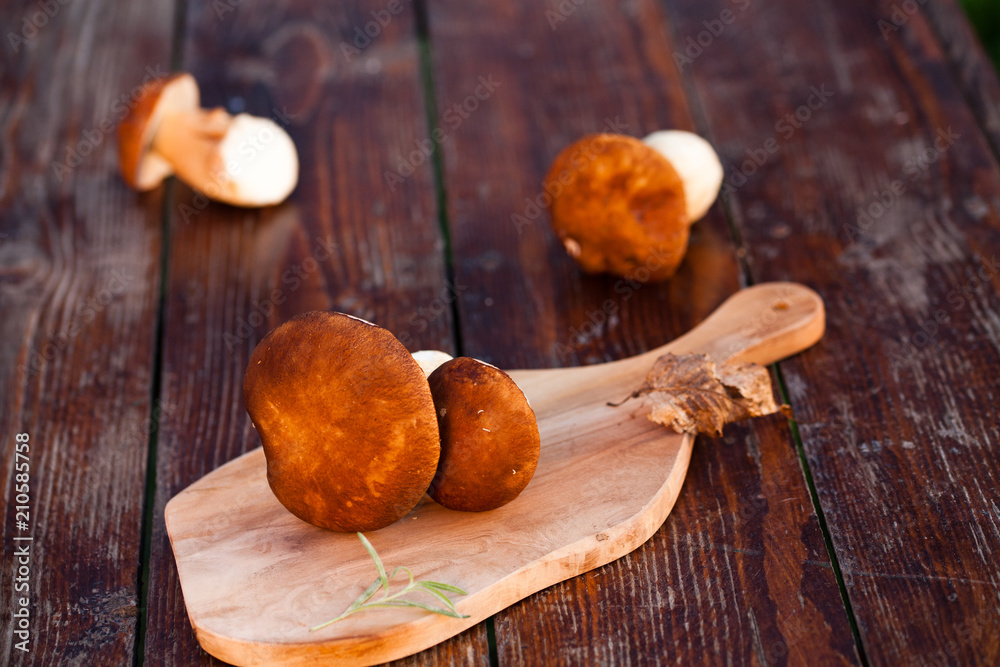 Fototapeta premium boletus edulis over Wooden Background. Autumn Cep Mushrooms. Cooking delicious organic mushroom. Gourmet food