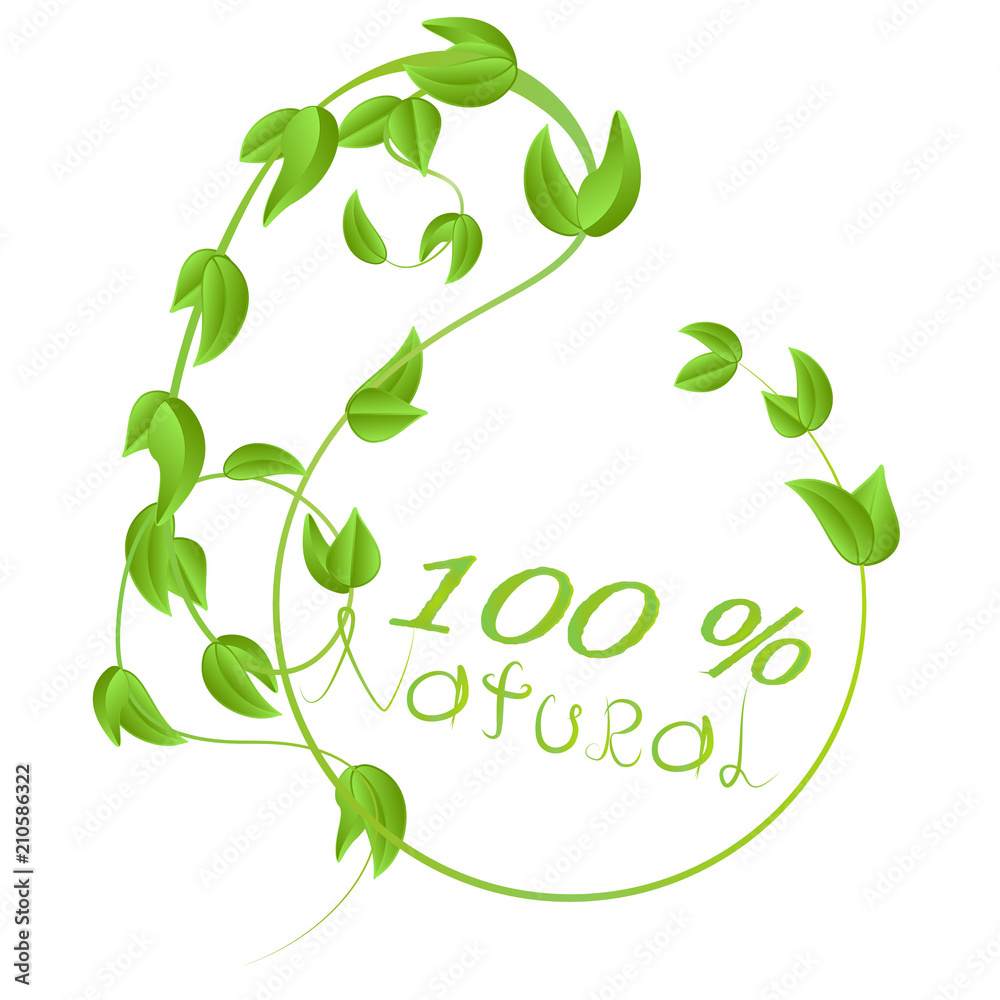 A round frame of branches with fresh green leaves with the inscription in natural A round frame of branches with fresh green leaves with the inscription in natural