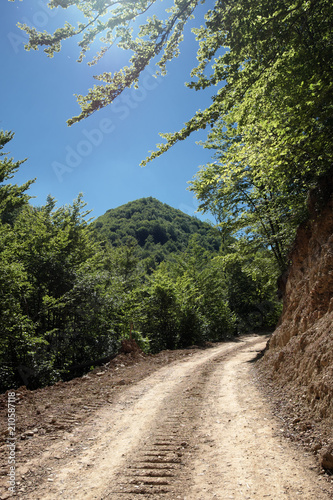 Dirt Road Of Serbia photo