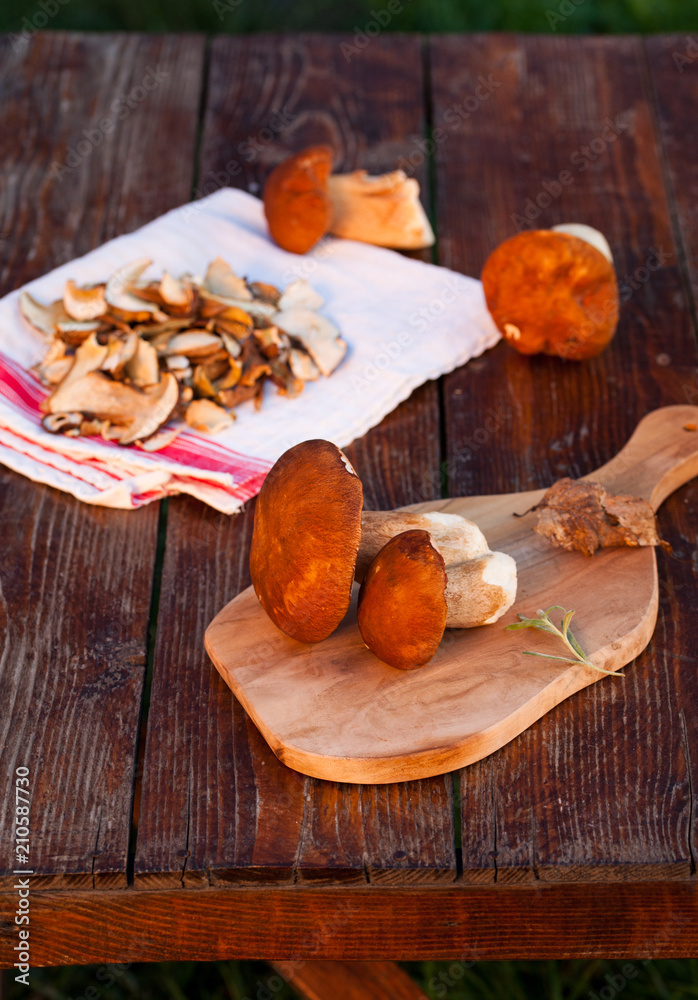 Fototapeta premium preparing fresh boletus edulis for drying over Wooden Background. Autumn Cep Mushrooms. Cooking delicious organic mushroom. Gourmet food