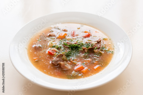 Meat soup with vegetables side view