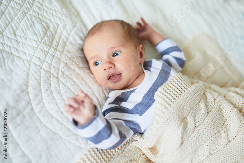 Quadro su tela One month baby girl lying under knitted blanket