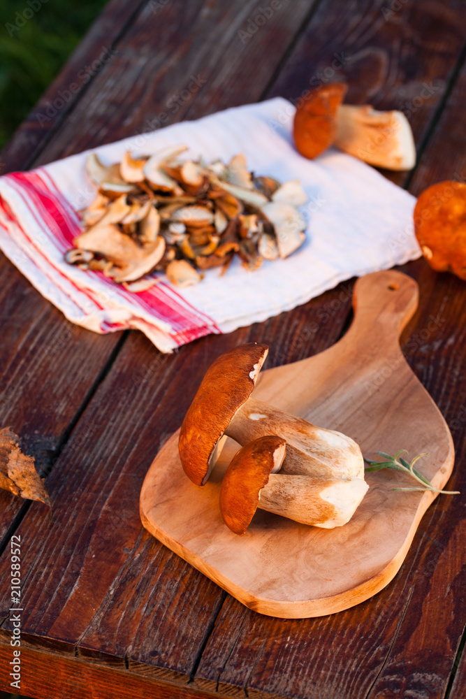 preparing fresh boletus edulis for drying over Wooden Background. Autumn Cep Mushrooms. Cooking delicious organic mushroom. Gourmet food