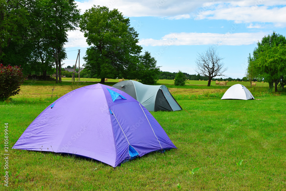 Three tents on meadow with green trees on background in sunny summer day with copy space for text on grass. Traveling, camping and hiking concept. Three tents on meadow with green trees on background in sunny summer day with copy space for text on grass. Traveling, camping and hiking concept.