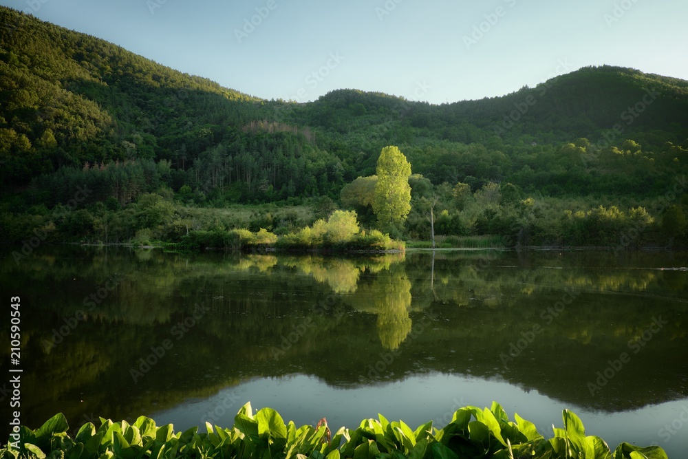 Woods Water Reflection, Bulgaria