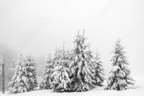 Winter and snow storm in mountain