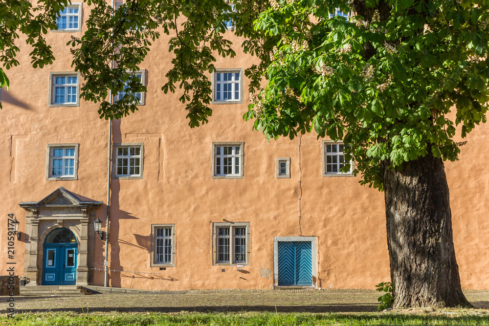 Fototapeta premium Tree at the castle square of Hann. Munden, Germany