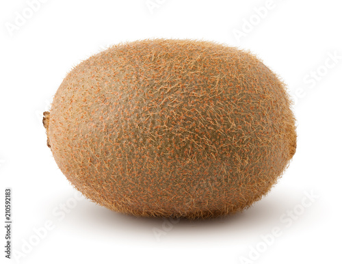 kiwi isolated on white background  full depth of field