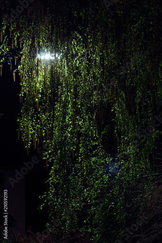 Abstract no3