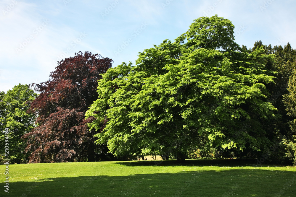 Kungsparken park in Malmo. Sweden