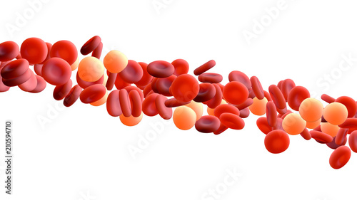 Blood Cells and White Cells float in the air