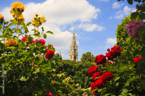 Bild auf Leinwand Bell tower of St. Stephen's Cathedral, Vienna