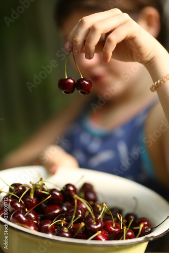 sweet cherry merry in human hand with teenager girl on background close up summer outdoor photo photo