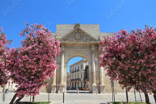 Tableau sur toile Oleanders in Italy