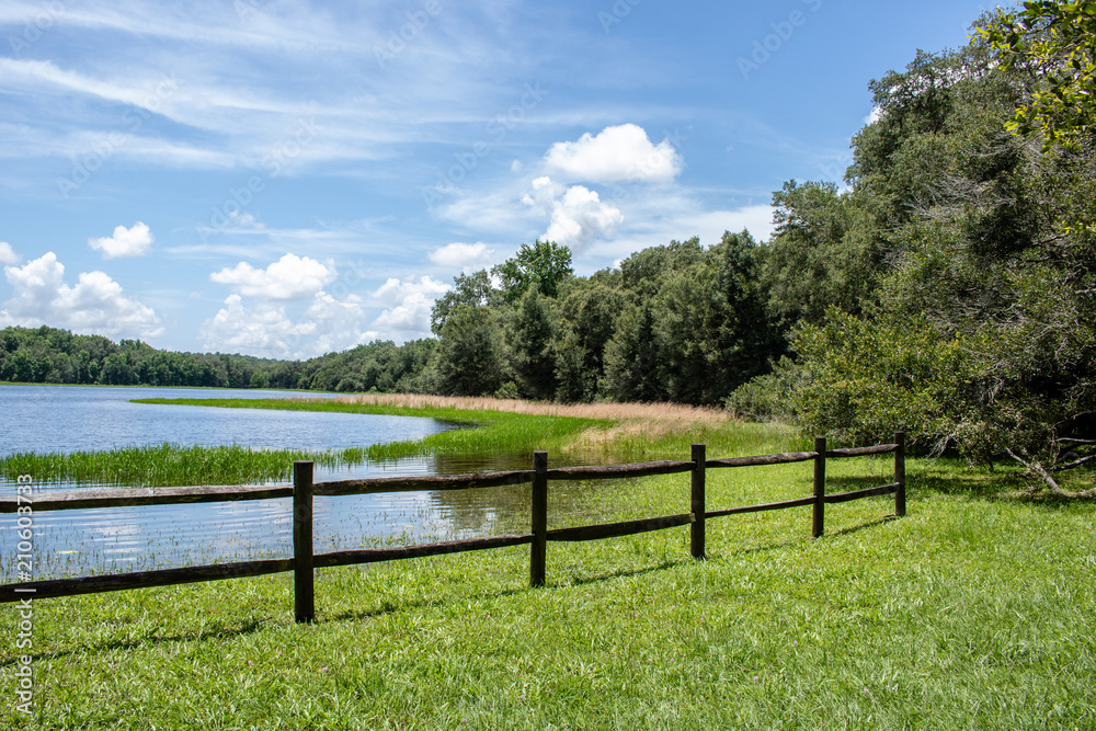 Withlacoochee State Forest