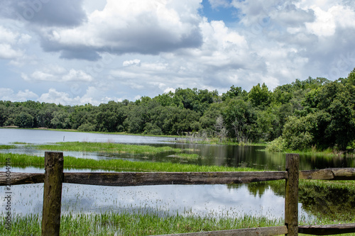 Withlacoochee State Forest