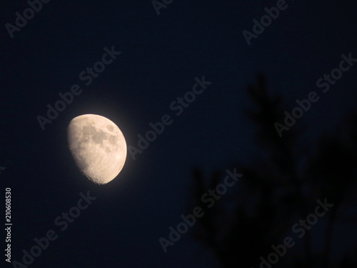 Moon