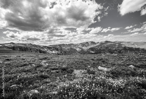 Scenic view along the Beartooth Highway in Montana. photo