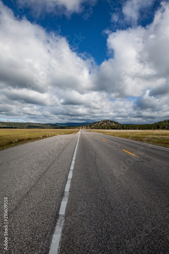 Road Along Yellowstone National Park