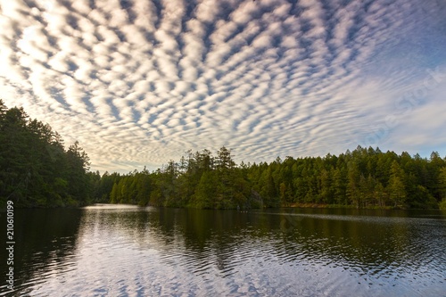 Fototapeta Naklejka Na Ścianę i Meble -  Dramatic Sky and Clouds Reflections in Thetis Lake Provincial Park on Vancouver Island near Victoria, British Columbia Canada