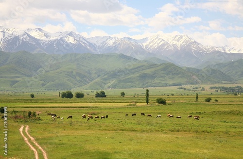 The beautiful scenic in Bishkek with the Tian Shan mountains of Kyrgyzstan